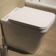 Βουλωμένη λεκάνη.